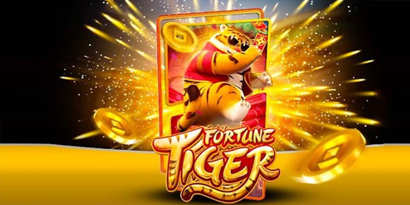 Quem é o Fortune Tiger 333betbet.Com